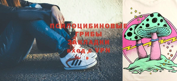 хмурый Кинешма