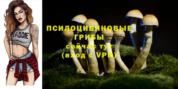mix Киренск
