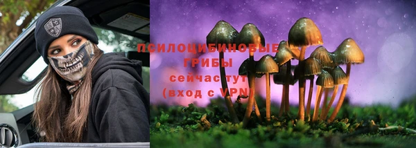 первитин Козловка